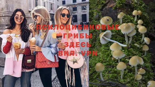 гидропоника Баксан