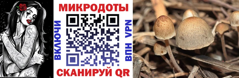 Псилоцибиновые грибы ЛСД  купить  сайты  Колпашево 
