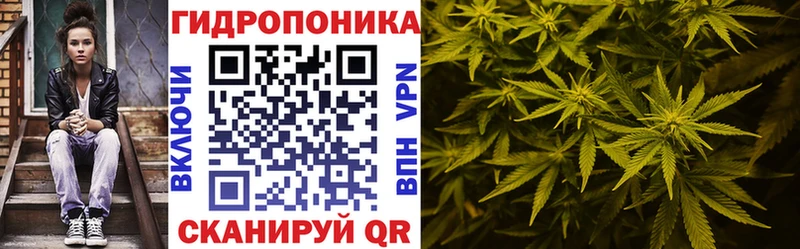 OMG ТОР  Колпашево  Бошки Шишки Amnesia  даркнет сайт 